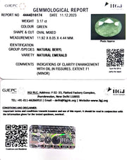 3.17/CT Natural Panna Stone with Govt. Lab Certificate (3441)